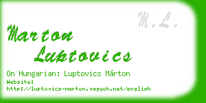 marton luptovics business card